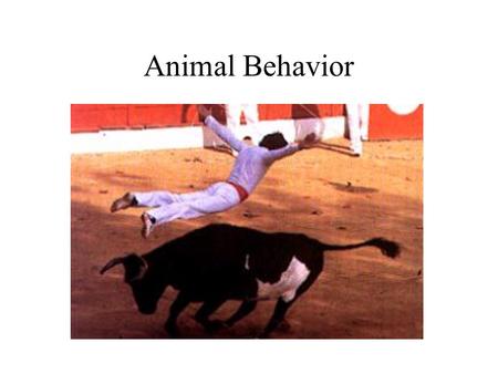 Animal Behavior.