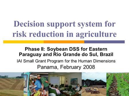 Decision support system for risk reduction in agriculture Phase II: Soybean DSS for Eastern Paraguay and Rio Grande do Sul, Brazil IAI Small Grant Program.