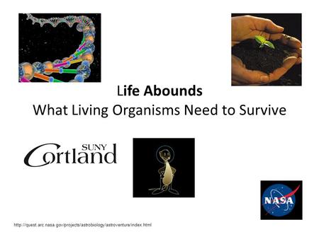 Life Abounds What Living Organisms Need to Survive