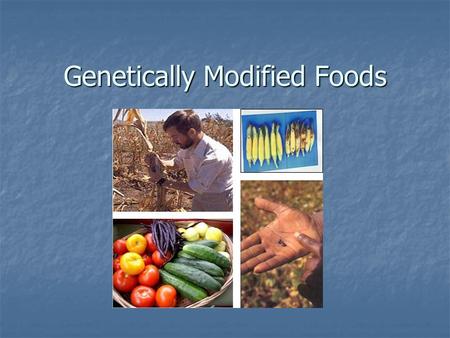 Genetically Modified Foods. What Is Biotechnology? Using scientific methods with organisms to produce new products or new forms of organisms Using scientific.