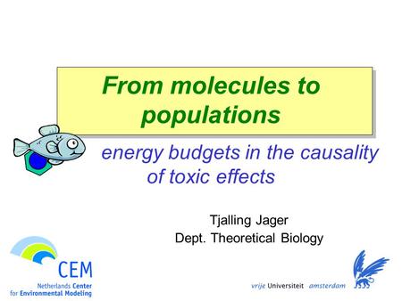 From molecules to populations energy budgets in the causality of toxic effects Tjalling Jager Dept. Theoretical Biology.