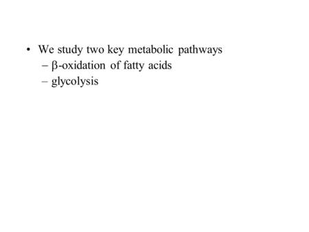 We study two key metabolic pathways  -oxidation of fatty acids –glycolysis.