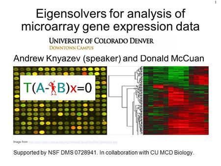 Eigensolvers for analysis of microarray gene expression data Andrew Knyazev (speaker) and Donald McCuan Image from