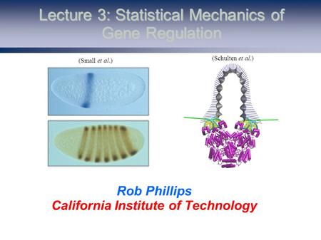 Lecture 3: Statistical Mechanics of Gene Regulation Rob Phillips California Institute of Technology (Schulten et al.) (Small et al.)