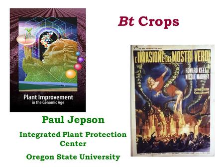 Bt Crops Paul Jepson Integrated Plant Protection Center Oregon State University.