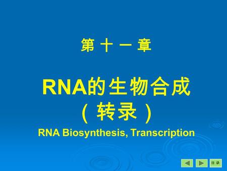 RNA Biosynthesis, Transcription
