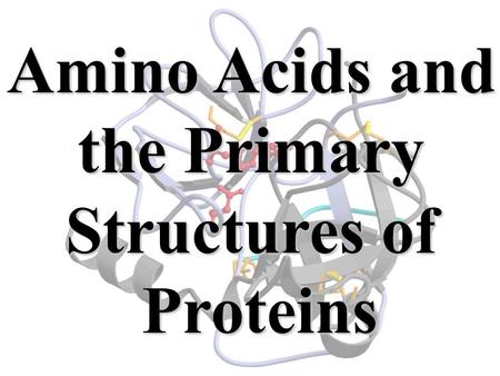 Amino Acids and the Primary Structures of Proteins.