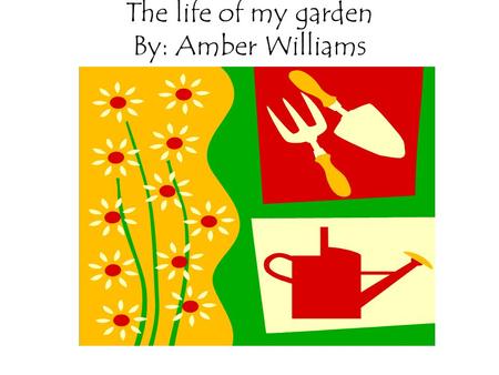 The life of my garden By: Amber Williams. Flowers my home has several different types of trees I also have a large variety of flowers and shrubbery my.