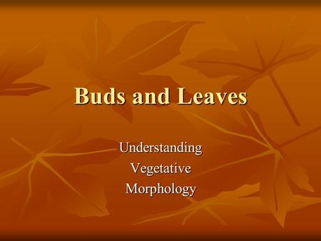 Understanding Vegetative Morphology