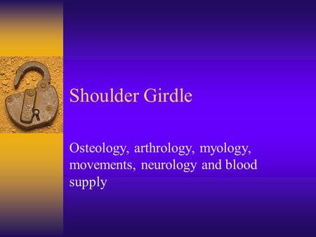 Osteology, arthrology, myology, movements, neurology and blood supply