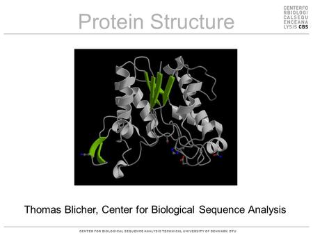 CENTER FOR BIOLOGICAL SEQUENCE ANALYSISTECHNICAL UNIVERSITY OF DENMARK DTU Protein Structure Thomas Blicher, Center for Biological Sequence Analysis.
