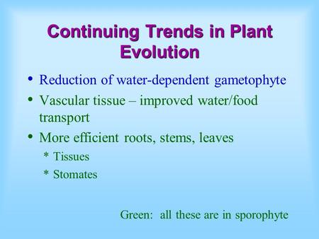 Continuing Trends in Plant Evolution Reduction of water-dependent gametophyte Vascular tissue – improved water/food transport More efficient roots, stems,
