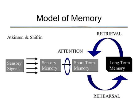 Model of Memory RETRIEVAL Atkinson & Shifrin ATTENTION Sensory Signals