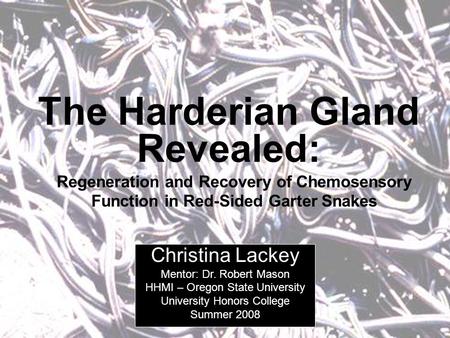 The Harderian Gland Revealed: