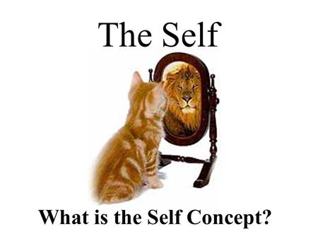 What is the Self Concept? The Self. 72% of men and 85% of women are unhappy with at least one aspect of their appearance Many products are bought because.