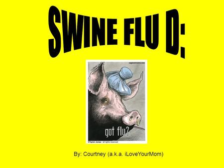By: Courtney (a.k.a. iLoveYourMom). The H1N1 virus (swine flu) is a new flu virus strain that is causing illnesses in humans worldwide.