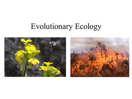 Evolutionary Ecology. Evidence of local adaptation.