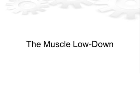 The Muscle Low-Down. Needs Controllable –React to output from software via controller Fast –Respond and recover quickly Provide 180° of rotation Behave.