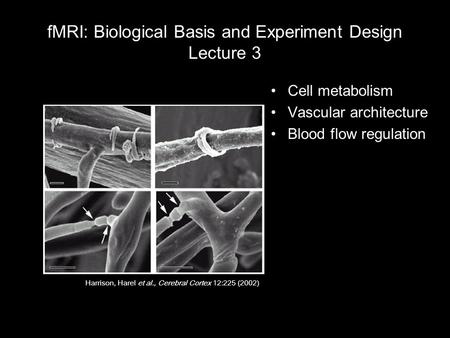 FMRI: Biological Basis and Experiment Design Lecture 3 Cell metabolism Vascular architecture Blood flow regulation Harrison, Harel et al., Cerebral Cortex.