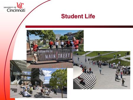 Student Life. Survival Tips  Study  work in groups!!  Get involved  Network with classmates, upper classmen, and faculty  Have fun!  The Clifton.