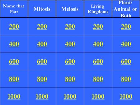 400 600 800 1000 200 400 600 800 1000 200 400 600 800 1000 200 400 600 800 1000 200 400 600 800 1000 200 Name that Part MitosisMeiosis Living Kingdoms.