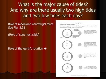 What is the major cause of tides? And why are there usually two high tides and two low tides each day? Role of moon and centrifugal force: See Fig. 3.31.
