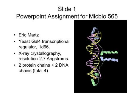 Slide 1 Powerpoint Assignment for Micbio 565 Eric Martz Yeast Gal4 transcriptional regulator, 1d66. X-ray crystallography, resolution 2.7 Angstroms. 2.