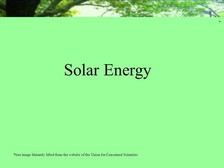 Solar Energy *tree image blatantly lifted from the website of the Union for Concerned Scientists *