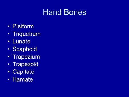 Hand Bones Pisiform Triquetrum Lunate Scaphoid Trapezium Trapezoid