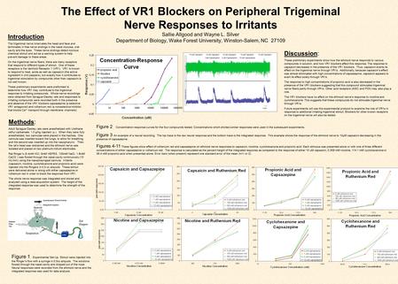 The Effect of VR1 Blockers on Peripheral Trigeminal Nerve Responses to Irritants Sallie Allgood and Wayne L. Silver Department of Biology, Wake Forest.