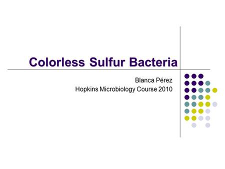 Colorless Sulfur Bacteria Blanca Pérez Hopkins Microbiology Course 2010.