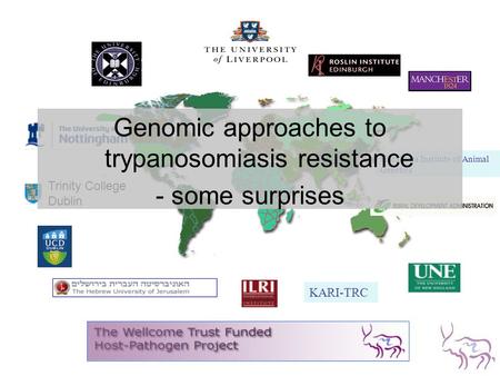 Trinity College Dublin KARI-TRC Shirakawa Institute of Animal Genetics Genomic approaches to trypanosomiasis resistance - some surprises.