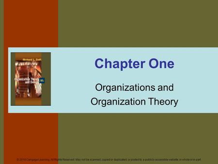 Organizations and Organization Theory