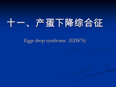 十一、产蛋下降综合征 Eggs drop syndrome (EDS76). 本病是由禽腺病毒引起，鸡以产蛋下 降为特征的一种传染病，表现为鸡产蛋骤 然下降，软壳蛋、畸形蛋增加，褐色蛋壳 颜色变淡。 1976 年 Van Eck 首先报道了本病，我国 在 1991 年分离到了病毒。
