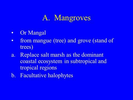 A. Mangroves Or Mangal from mangue (tree) and grove (stand of trees) a.Replace salt marsh as the dominant coastal ecosystem in subtropical and tropical.