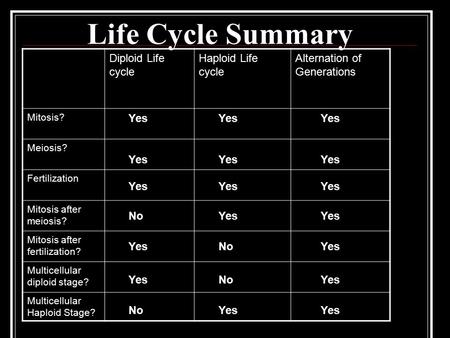 Life Cycle Summary Diploid Life cycle Haploid Life cycle Alternation of Generations Mitosis? Meiosis? Fertilization Mitosis after meiosis? Mitosis after.