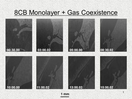 1 8CB Monolayer + Gas Coexistence 00:30.0003:00.0205:00.00 10:00.0015:00.0213:00.0211:00.02 08:30.02 1 mm.
