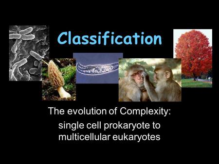 Classification The evolution of Complexity: