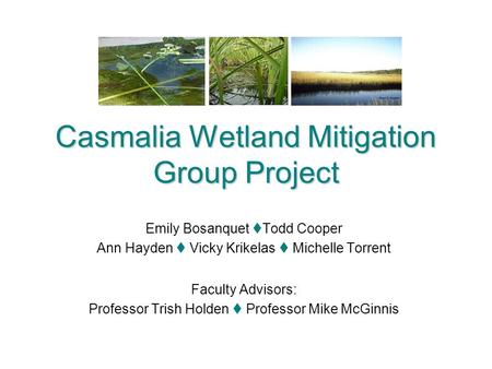 Casmalia Wetland Mitigation Group Project Emily Bosanquet  Todd Cooper Ann Hayden  Vicky Krikelas  Michelle Torrent Faculty Advisors: Professor Trish.