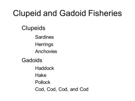 Clupeid and Gadoid Fisheries