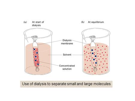 Use of dialysis to separate small and large molecules.