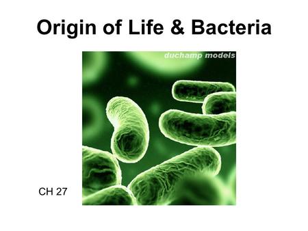 Origin of Life & Bacteria