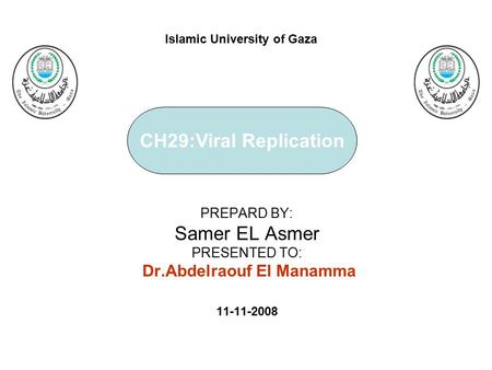 PREPARD BY: Samer EL Asmer PRESENTED TO: Dr.Abdelraouf El Manamma 11-11-2008 Islamic University of Gaza CH29:Viral Replication.