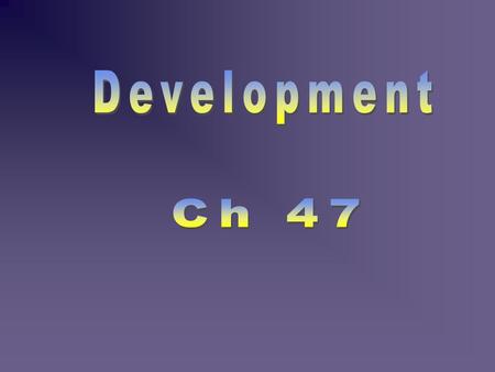 Development Ch 47.