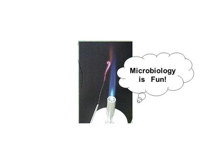 Microbiology is Fun!.