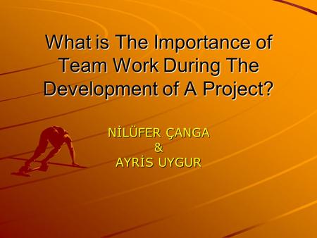 What is The Importance of Team Work During The Development of A Project? NİLÜFER ÇANGA & AYRİS UYGUR.