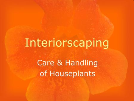 Interiorscaping Care & Handling of Houseplants Low Light Plants Cast Iron Plant Peace Lily Snake Plant Parlor Palm.