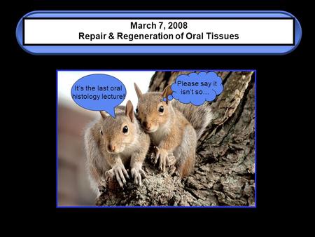 It’s the last oral histology lecture! Please say it isn’t so… March 7, 2008 Repair & Regeneration of Oral Tissues.