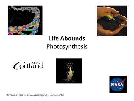 Life Abounds Photosynthesis