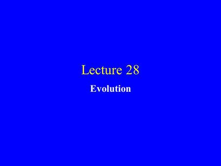 Lecture 28 Evolution. Variation Without variation (which arises from mutations of DNA molecules to produce new alleles) natural selection would have nothing.